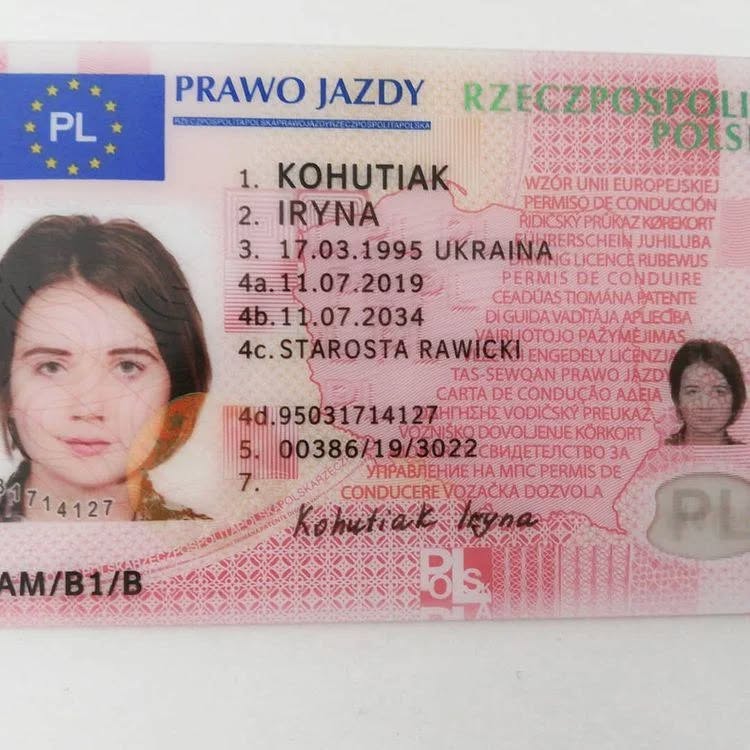 gdzie można kupić prawo jazdy